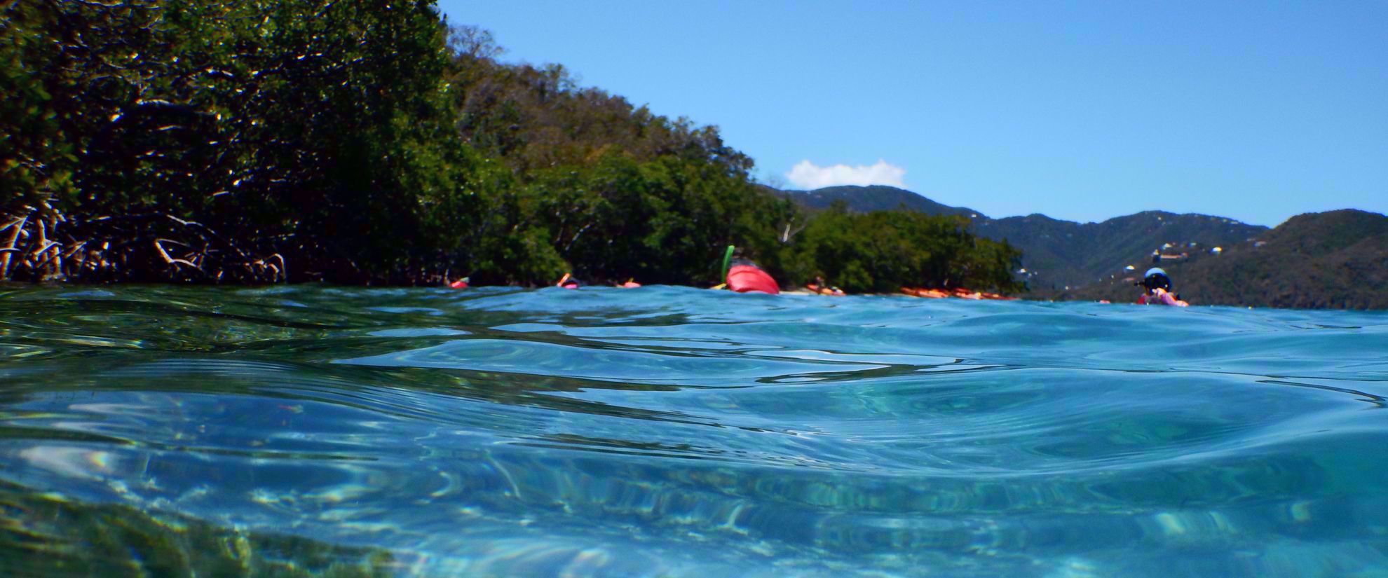 Sea level view of snorkeling group in caribbean