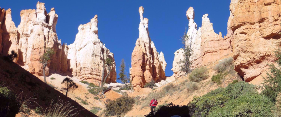 rock spires in sunshine at moab national park