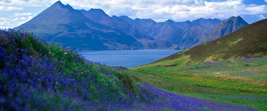 vibrant mountains in scotland