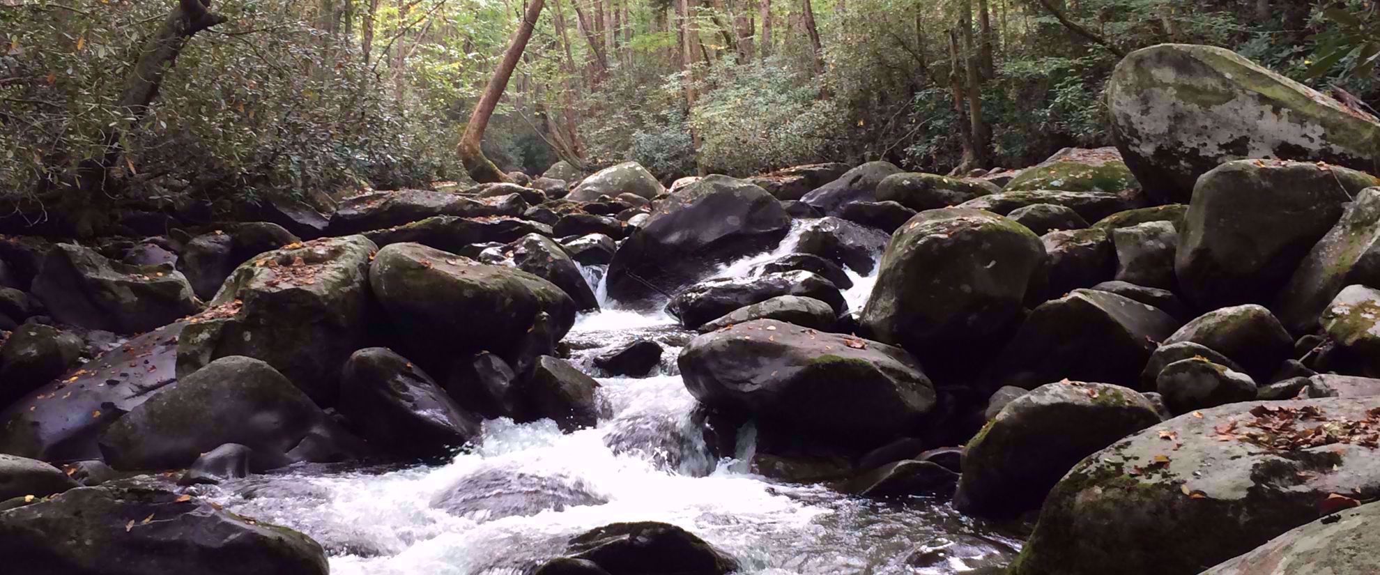 water crashing on rocks in shallow river through smoky mountains
