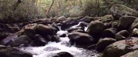Picture of Fall in the Great Smokies water crashing on rocks in shallow river through smoky mountains