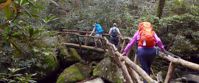 Picture of Fall in the Great Smokies women crossing unique wooden bridge in great smoky mountains