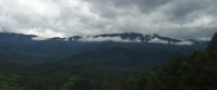 Picture of Fall in the Great Smokies overcast day great smoky mountains