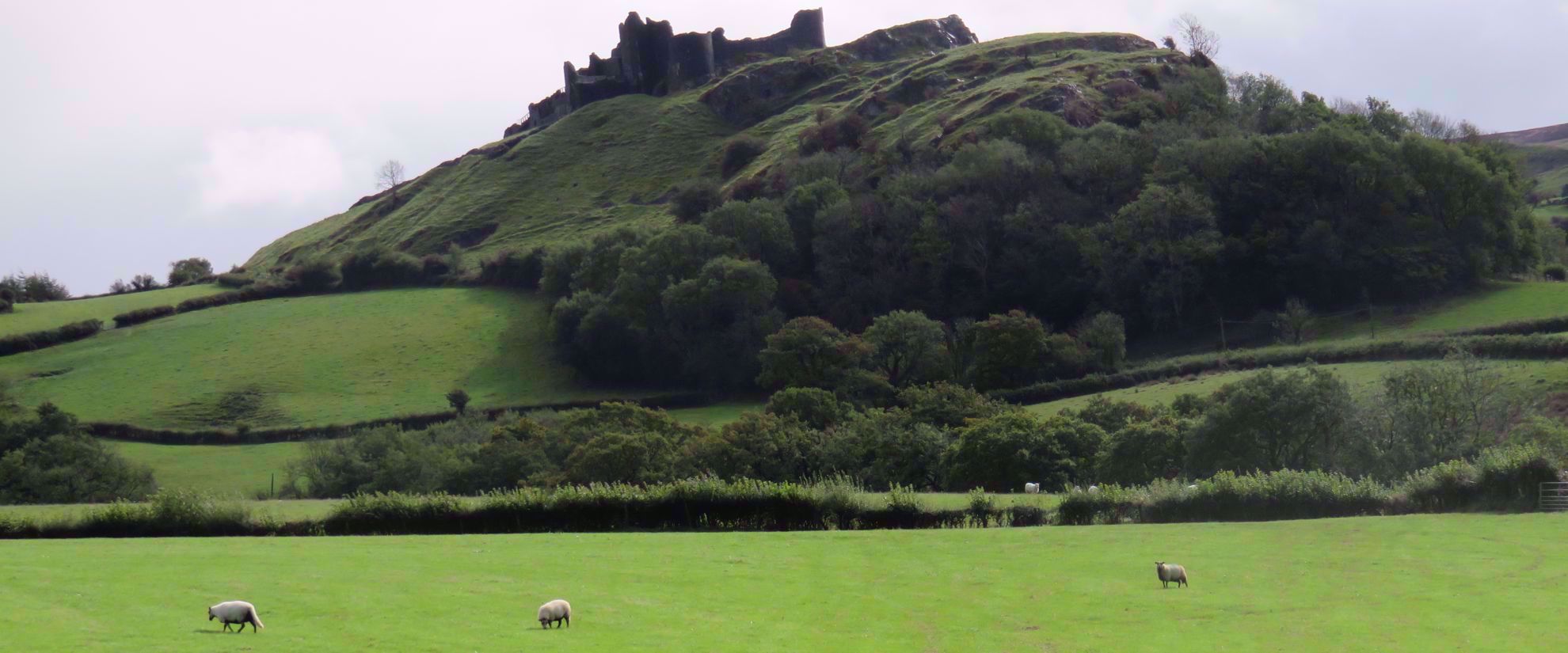 Picture of Hiking Wales sheep in meadow with green rolling hills whales