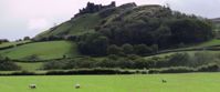 Picture of Hiking Wales sheep in meadow with green rolling hills whales