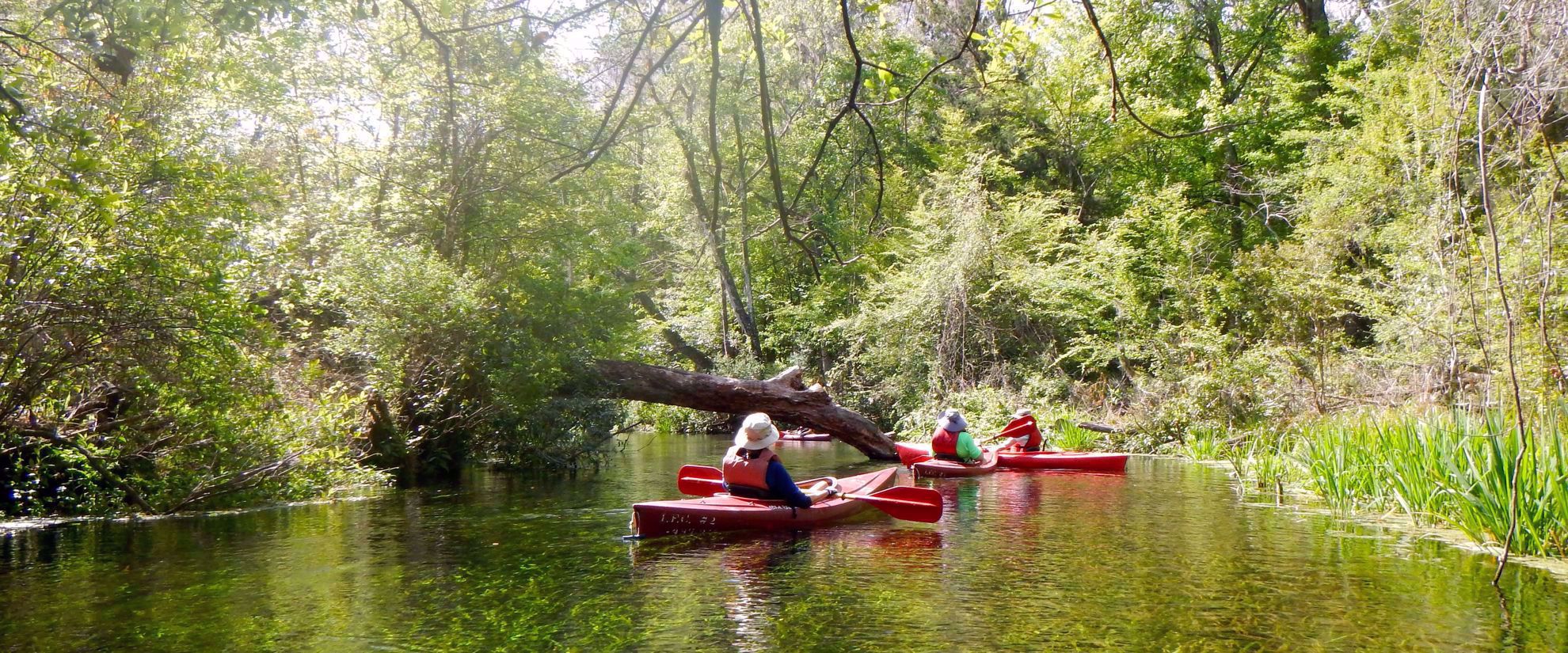 women's travel group kayaking suwannee river