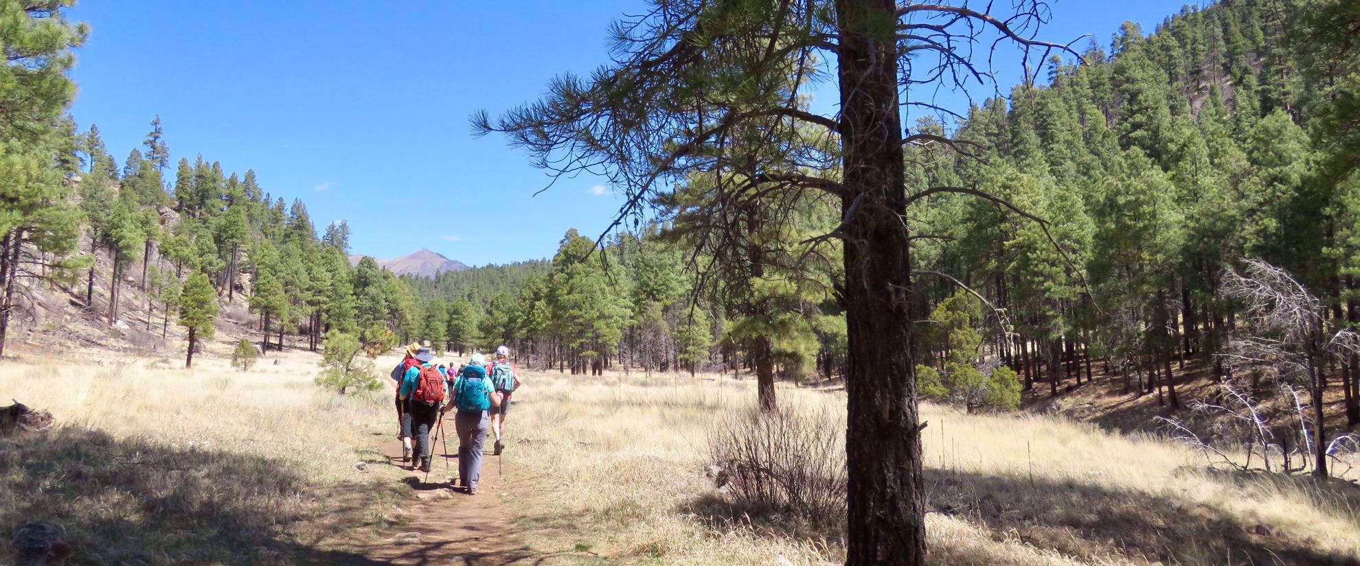 women hiking through grass and trees arizona