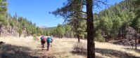 Picture of Sedona and the Grand Canyon women hiking through grass and trees arizona