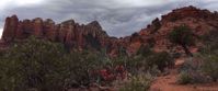 Picture of Sedona and the Grand Canyon red flowers and green plants in grand canyon arizona