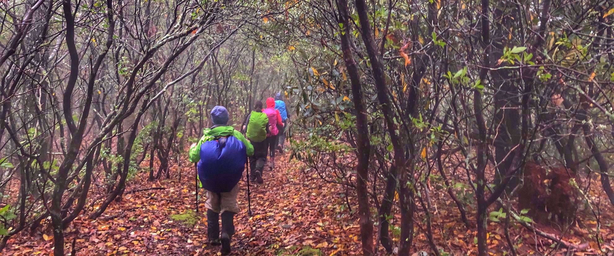 women's hiking group exploring georgia in autumn