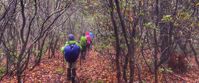Picture of Slackpacking Georgia women's hiking group exploring georgia in autumn
