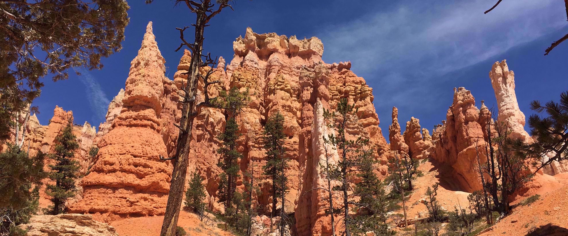 red rock formations in utah national park