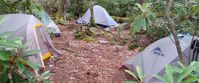 Picture of Intro to Lightweight Backpacking on the AT tents along appalachian trail