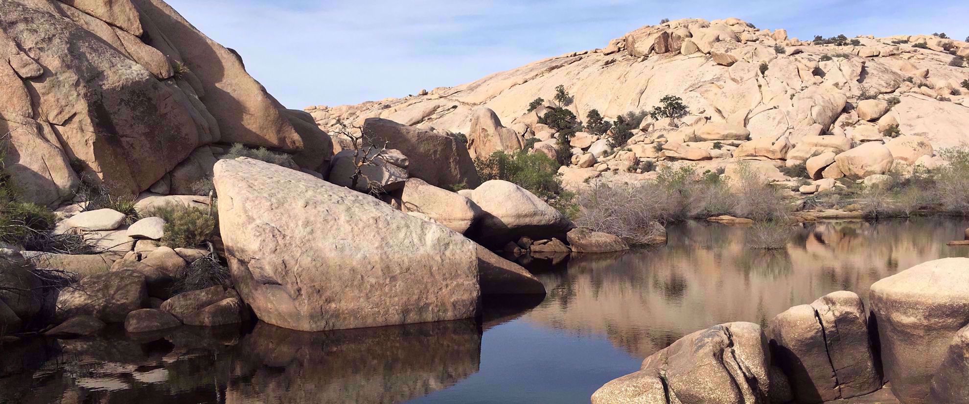Picture of Desert Oasis Adventure: From Death Valley to Joshua Tree desert oasis in joshua tree national park