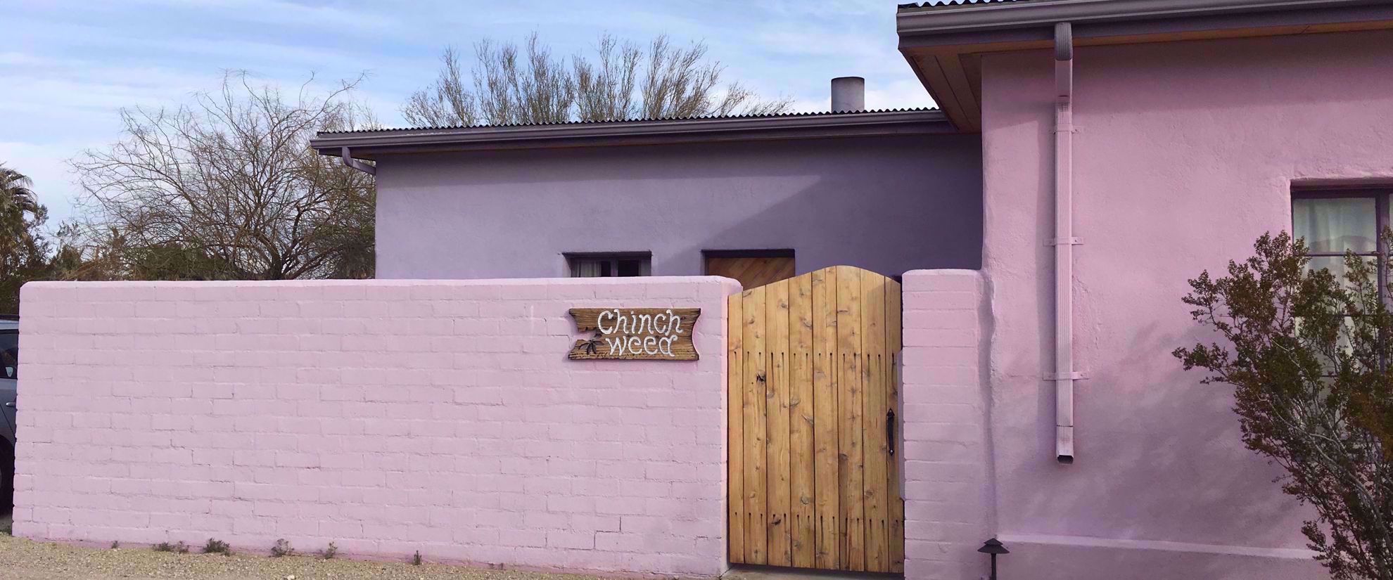 Picture of Desert Oasis Adventure: From Death Valley to Joshua Tree pink chinch weed house