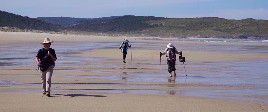 Walking along the Camino de Santiago to the sea