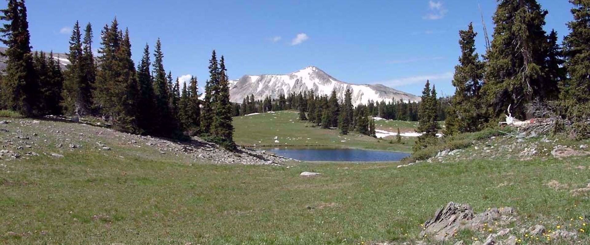 Picture of Alpine Hiking in the Snowy Range