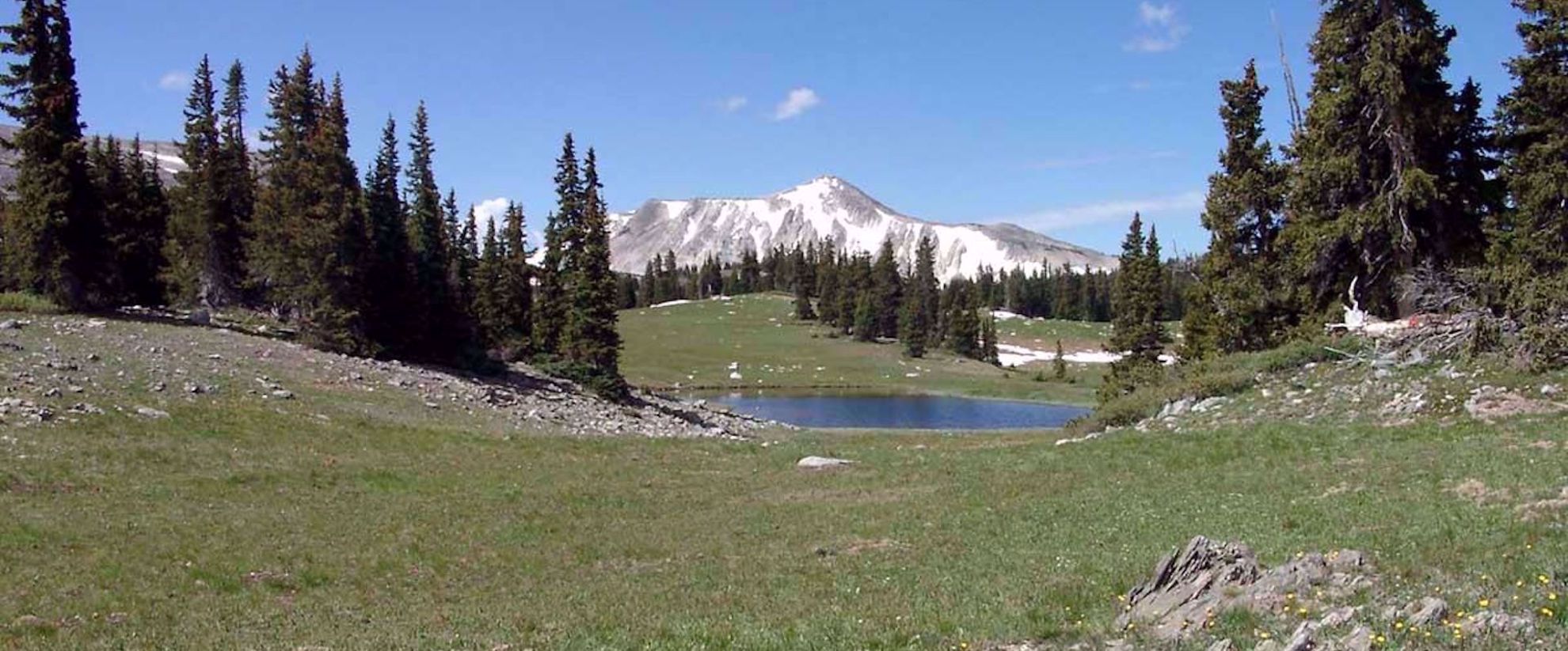 Snowy Mountains alpine meadow Picture of Alpine Hiking in the Snowy Range