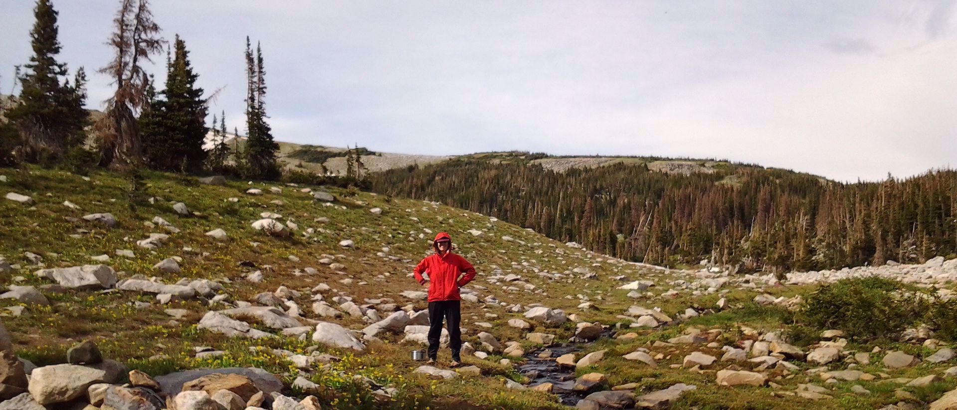 Picture of Alpine Hiking in the Snowy Range