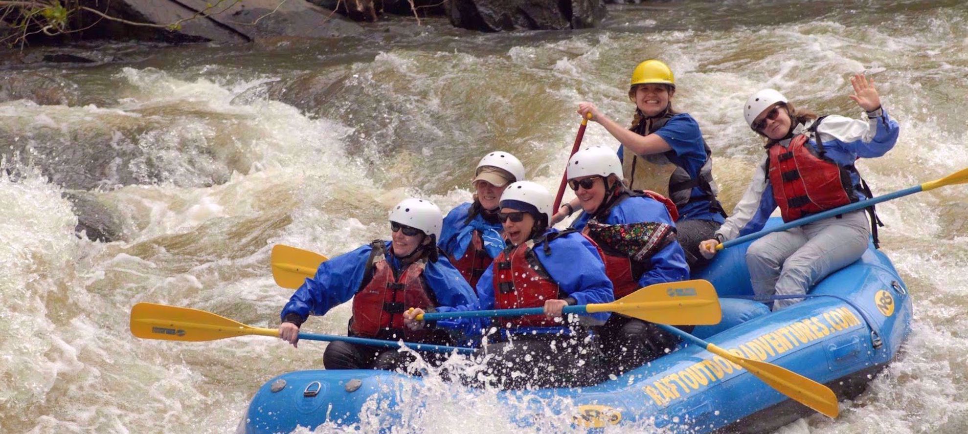 Picture of Wildflowers & Waterfalls: Exploring the Great Smokies