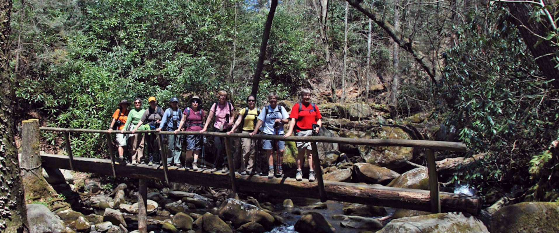 Picture of Wildflowers & Waterfalls: Exploring the Great Smokies
