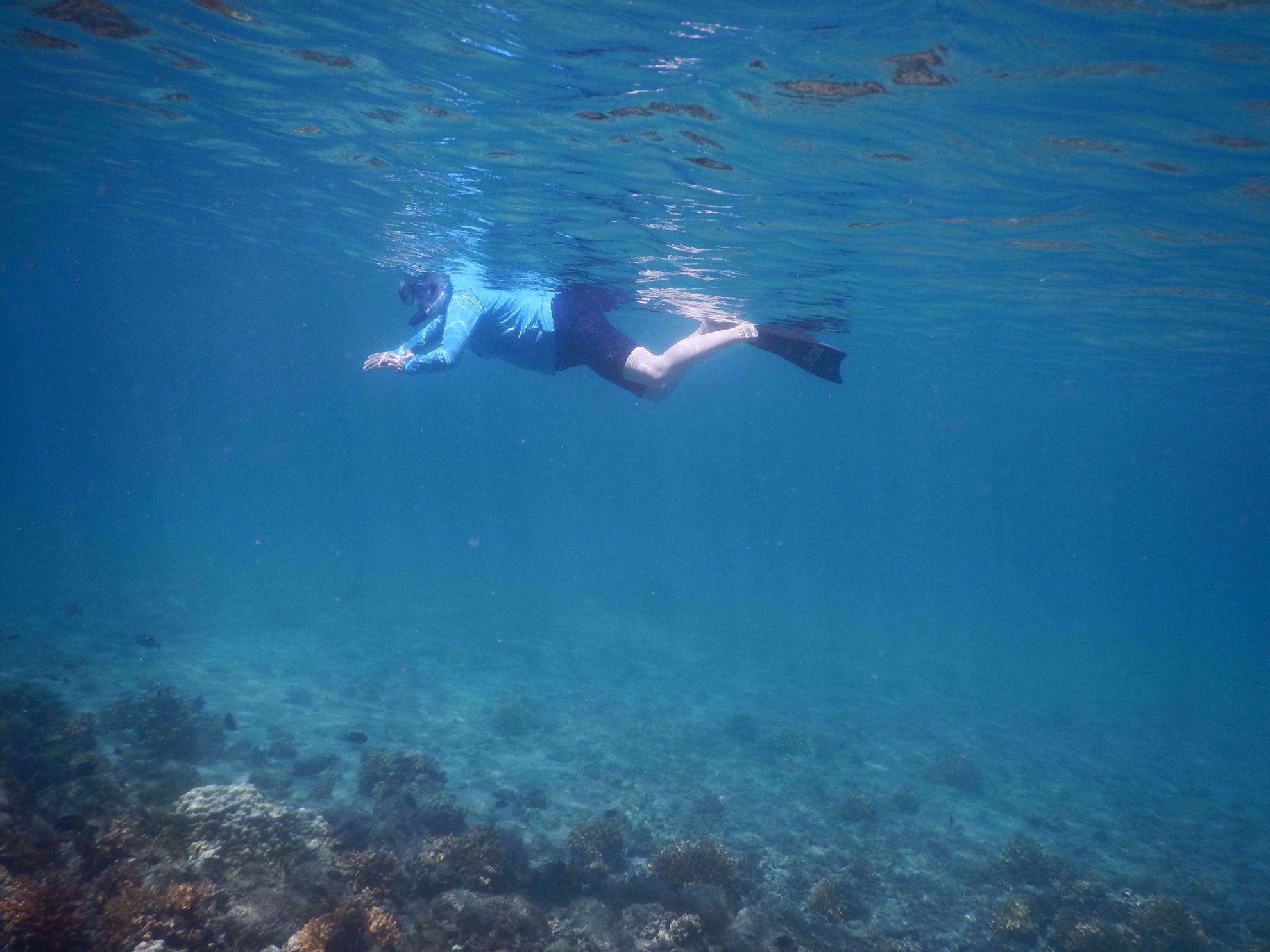Snorkeling Snorkeling in Panama