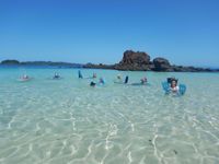 Group Snorkel Group Snorkel