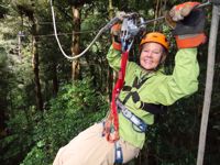 Zipline Zipline
