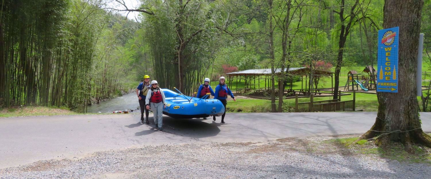 Picture of Wildflowers & Waterfalls: Exploring the Great Smokies
