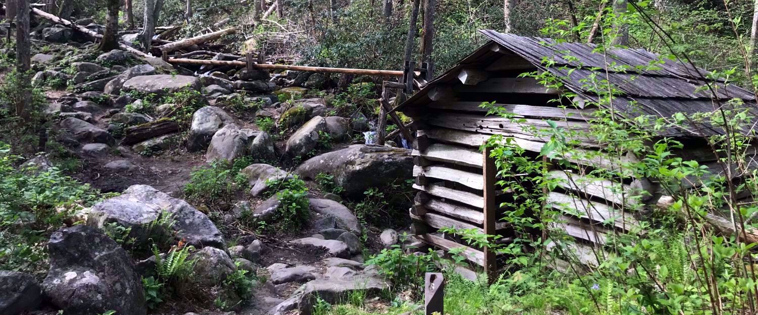 Picture of Wildflowers & Waterfalls: Exploring the Great Smokies