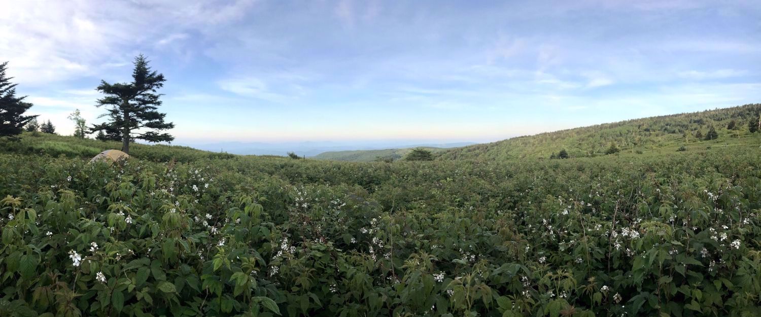 Picture of Intro to Lightweight Backpacking on the AT