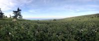 Picture of Intro to Lightweight Backpacking on the AT
