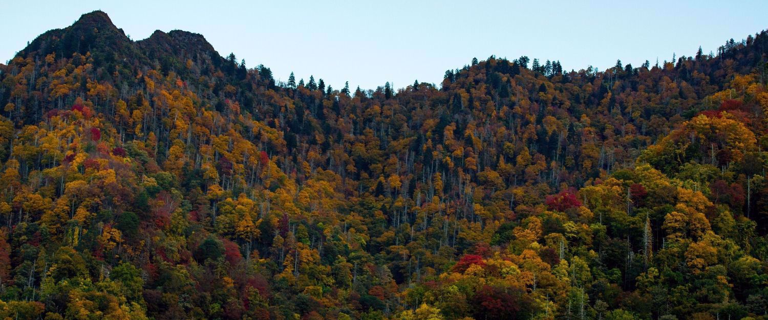 Great Smokies fall mountain shot