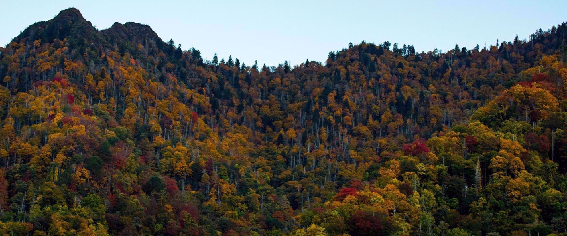 Picture of Fall in the Great Smokies Great Smokies fall mountain shot