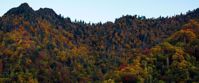 Picture of Fall in the Great Smokies Great Smokies fall mountain shot
