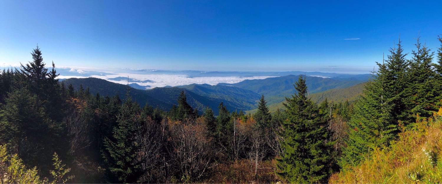 Shot of great smoky mountains some fall foliage