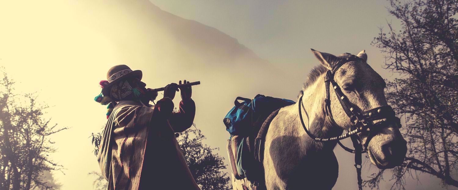Picture of Trekking to Machu Picchu: A Lodge to Lodge Journey