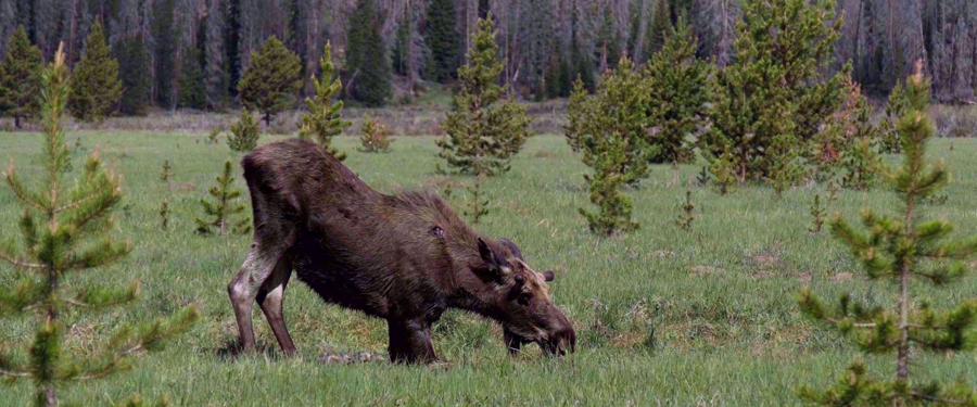 Arizona Hike & Sketch