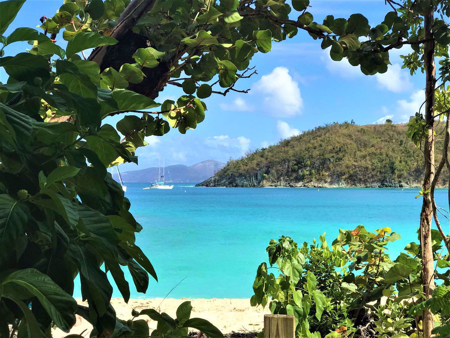 Adventures in the Caribbean: St. John