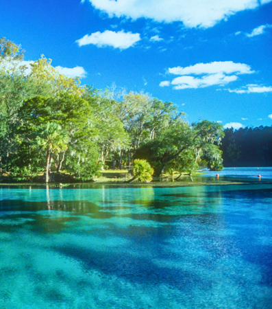 Paddling with Manatees