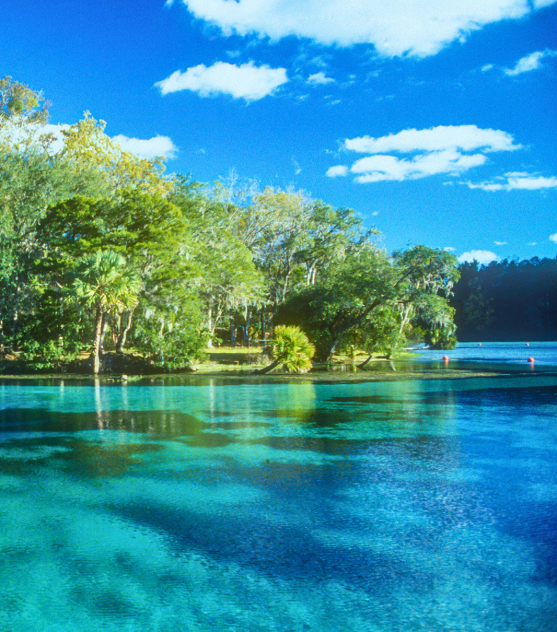 Paddling with Manatees