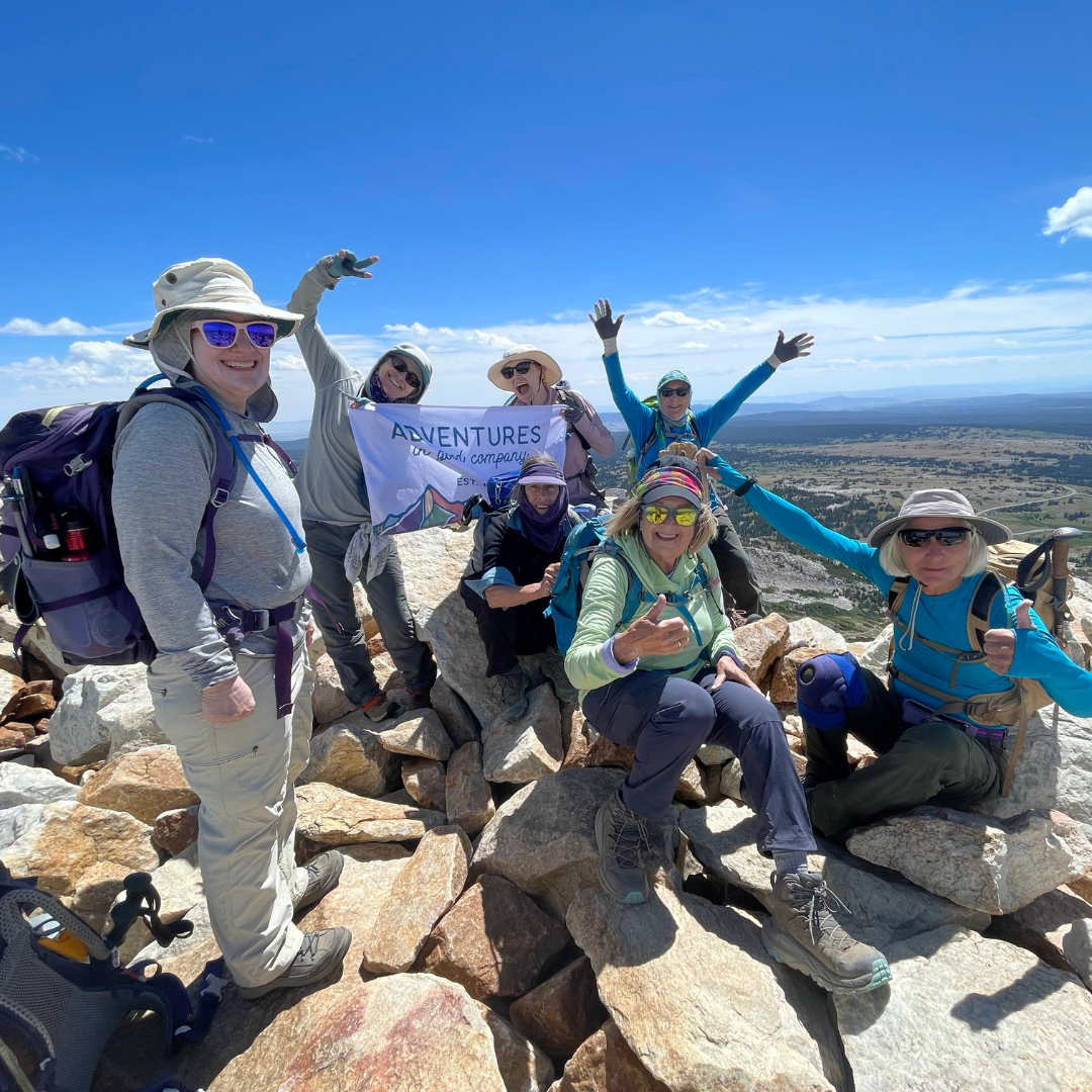 Description of image