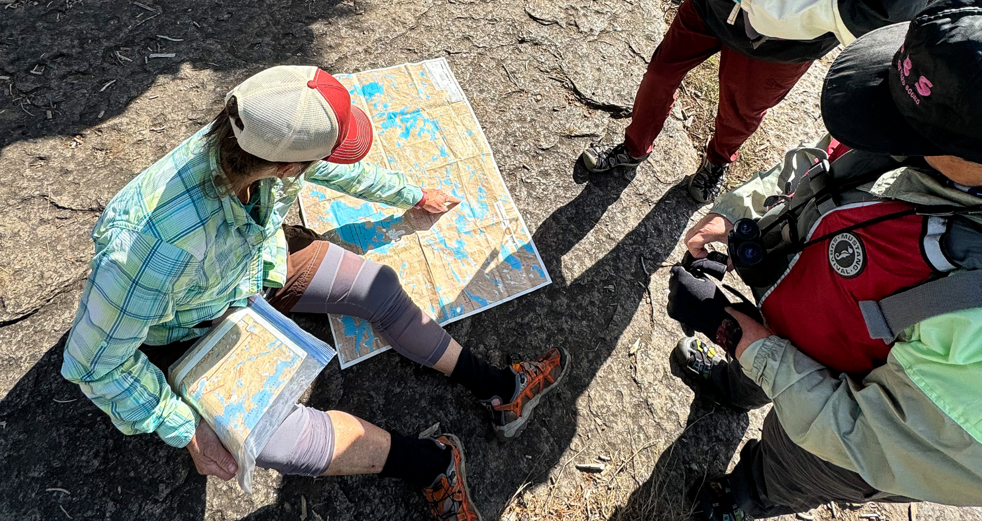 Description of image