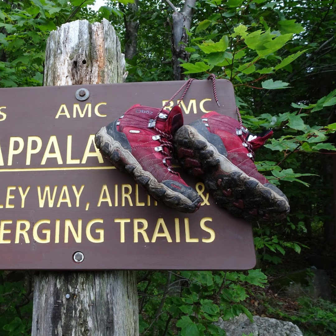 Description of image