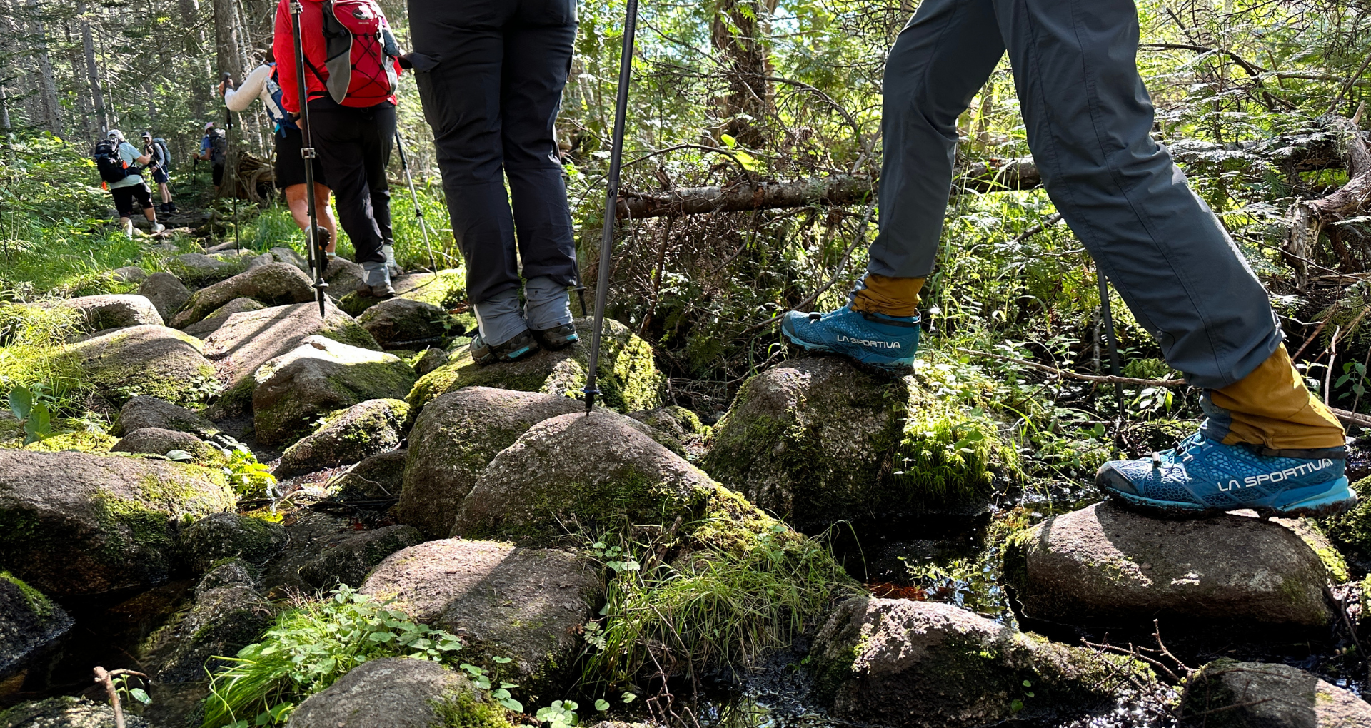 Description of image