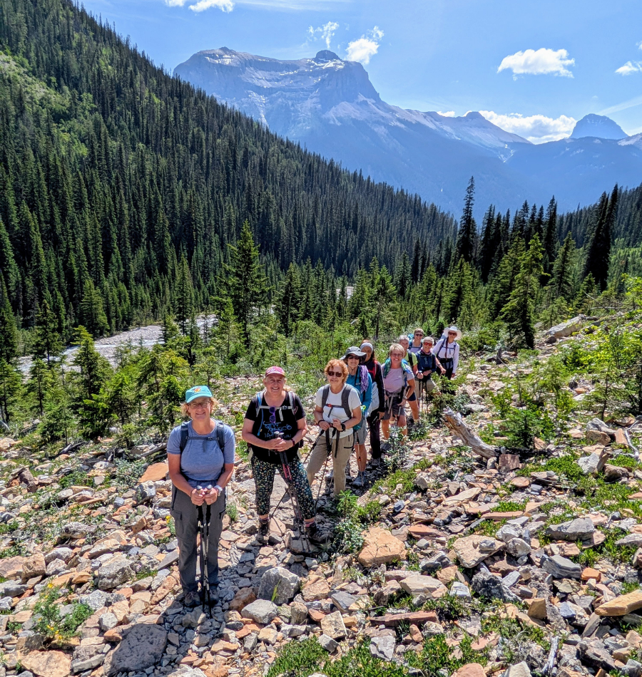 Description of image