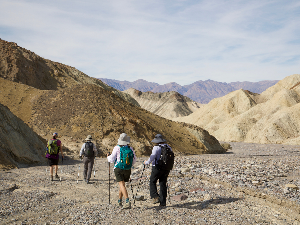 Description of image