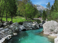 Picture of Alpine Adventures in Slovenia