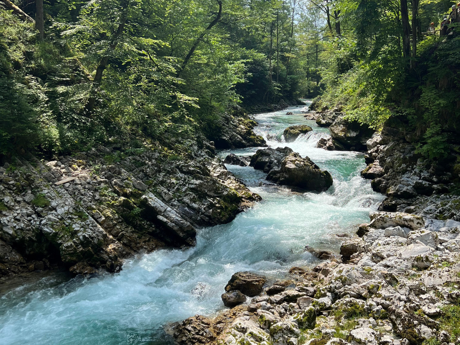 Picture of Alpine Adventures in Slovenia