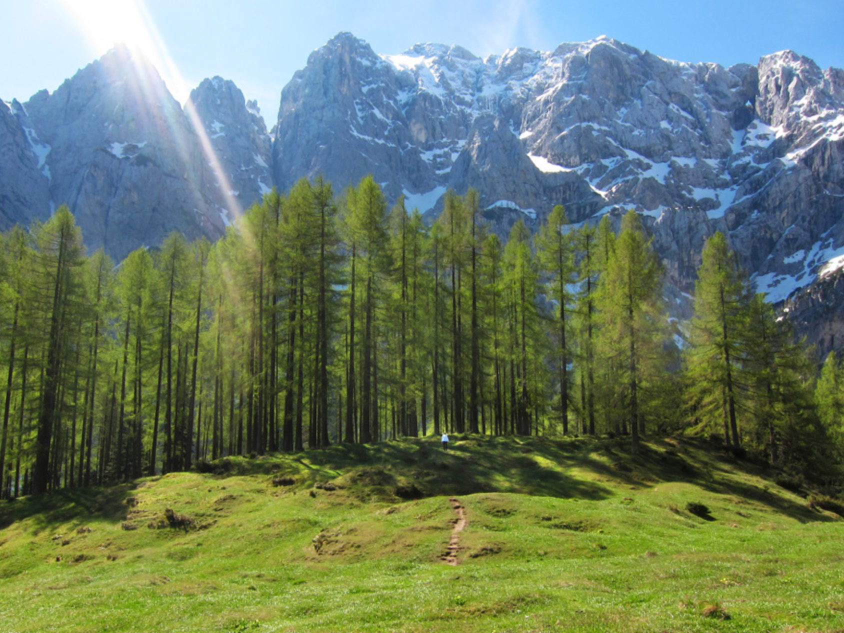 Picture of Alpine Adventures in Slovenia
